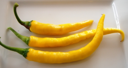 chilli cayenne yellow